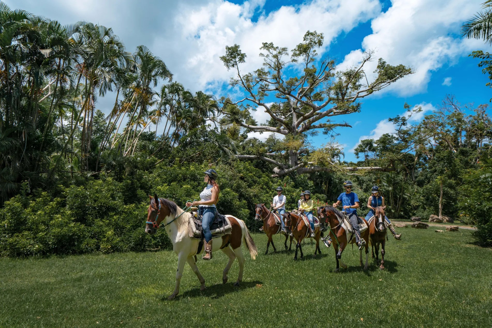 Grupo de personas montando a caballo en un campo cubierto de hierba con árboles y un cielo azul nublado.