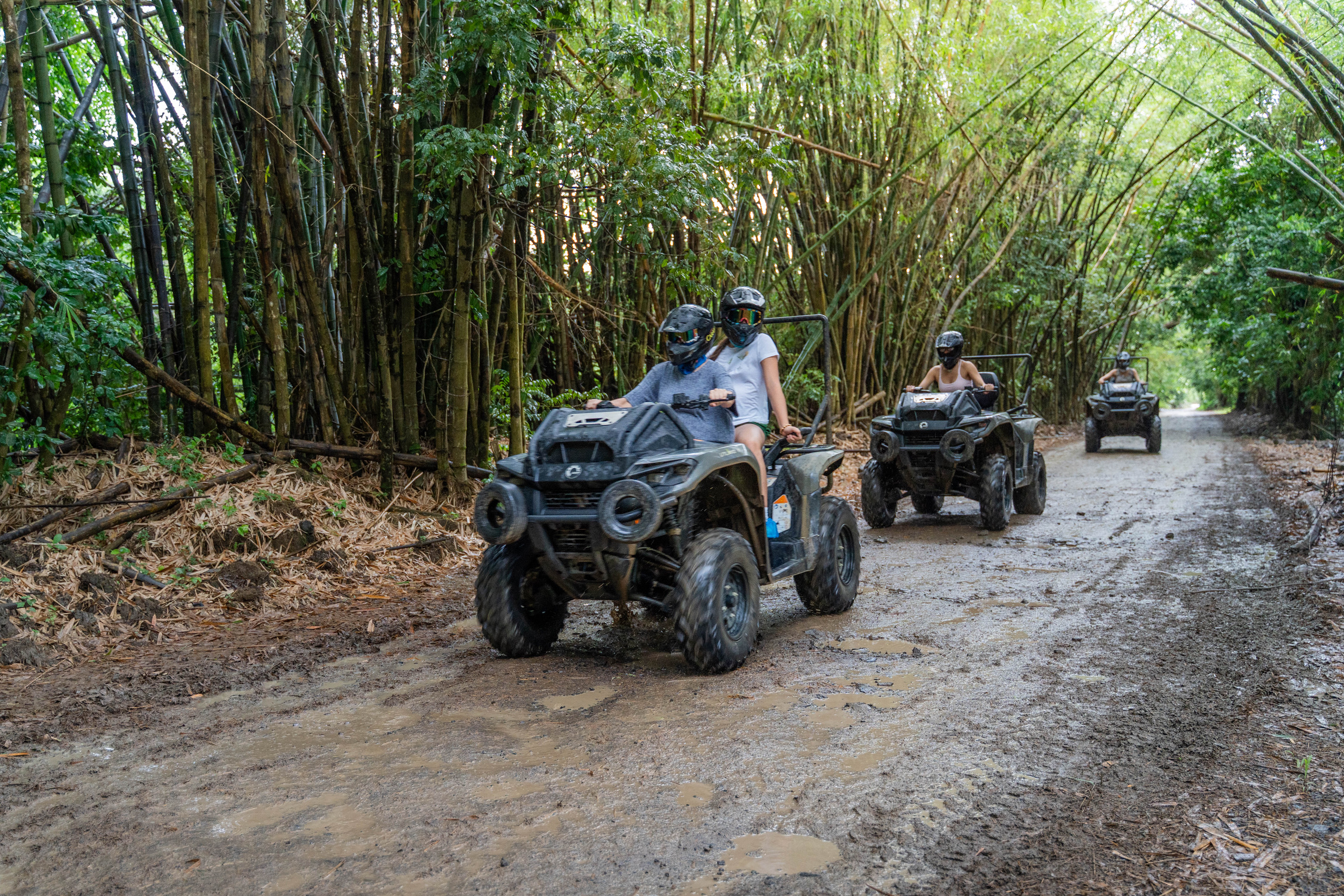 People ride ATVs on a muddy forest trail lined with bamboo.