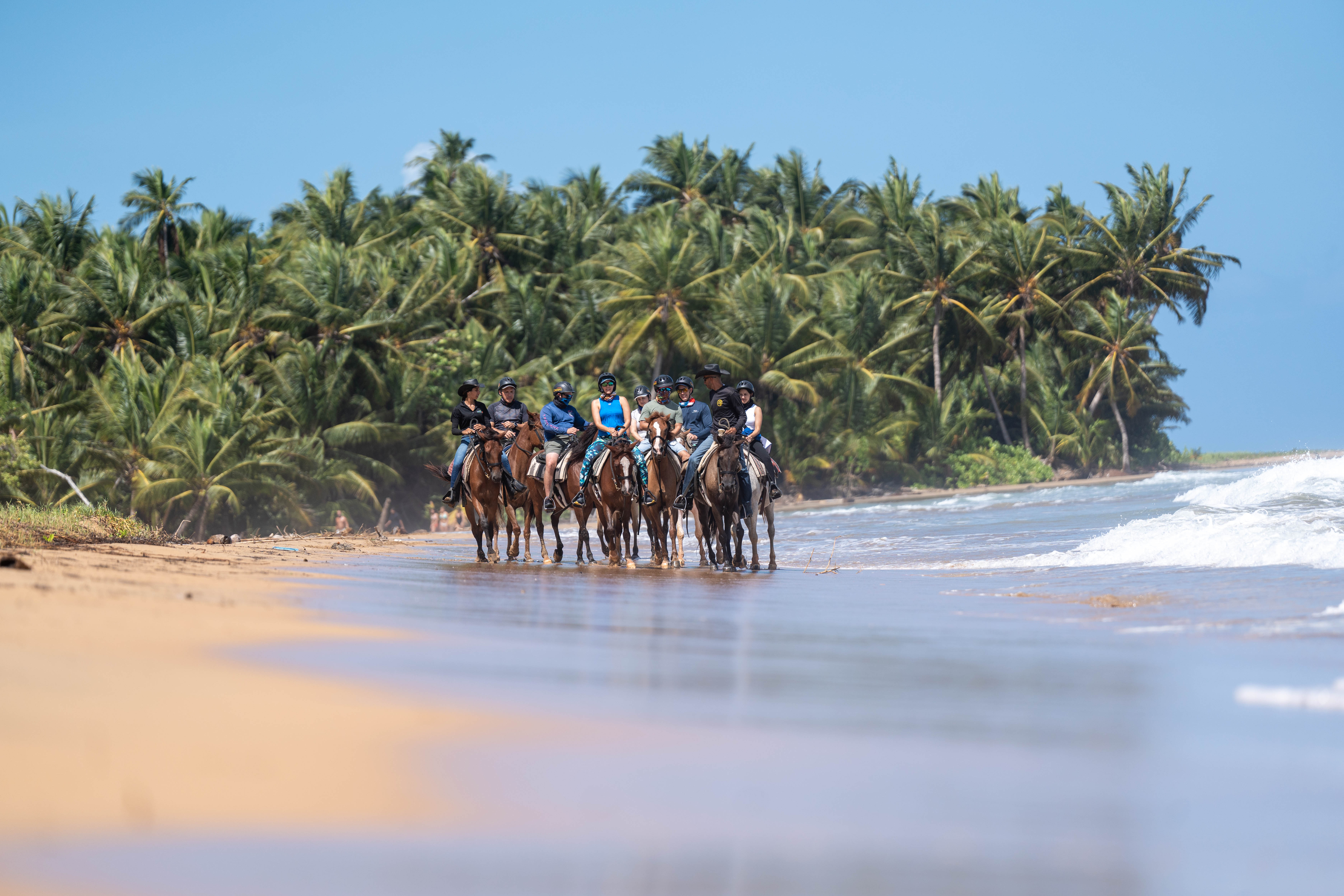 Group riding horses along a tropical beach with palm trees and ocean waves.