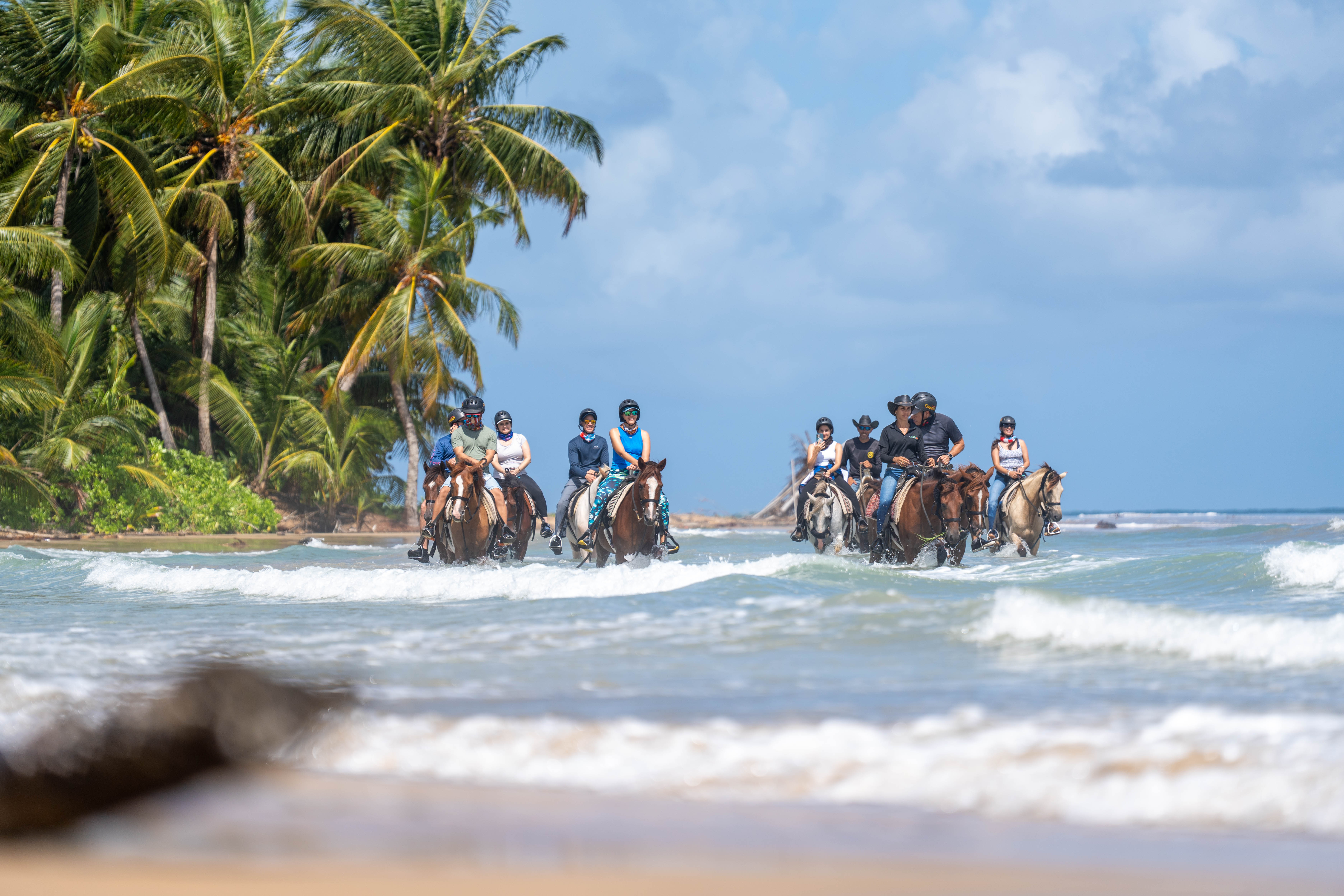 Group riding horses along a tropical beach with palm trees and ocean waves.