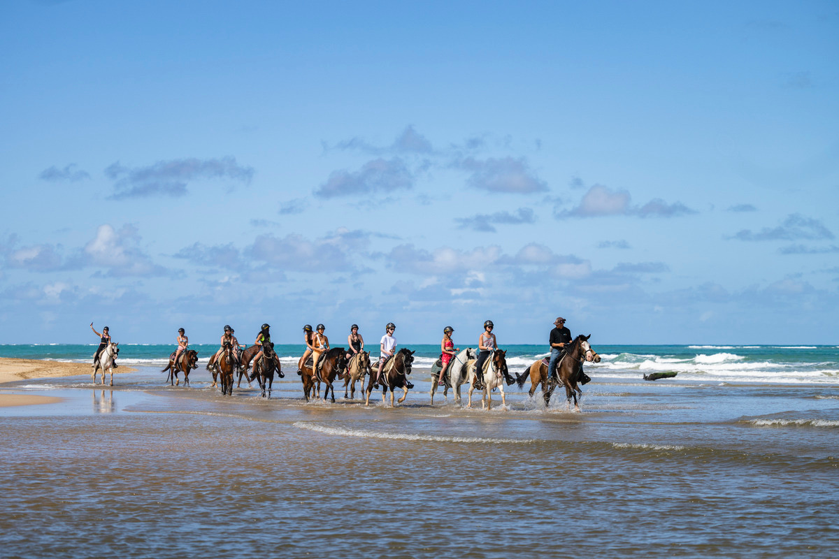 Group horseback riding on a sunny beach with blue skies.