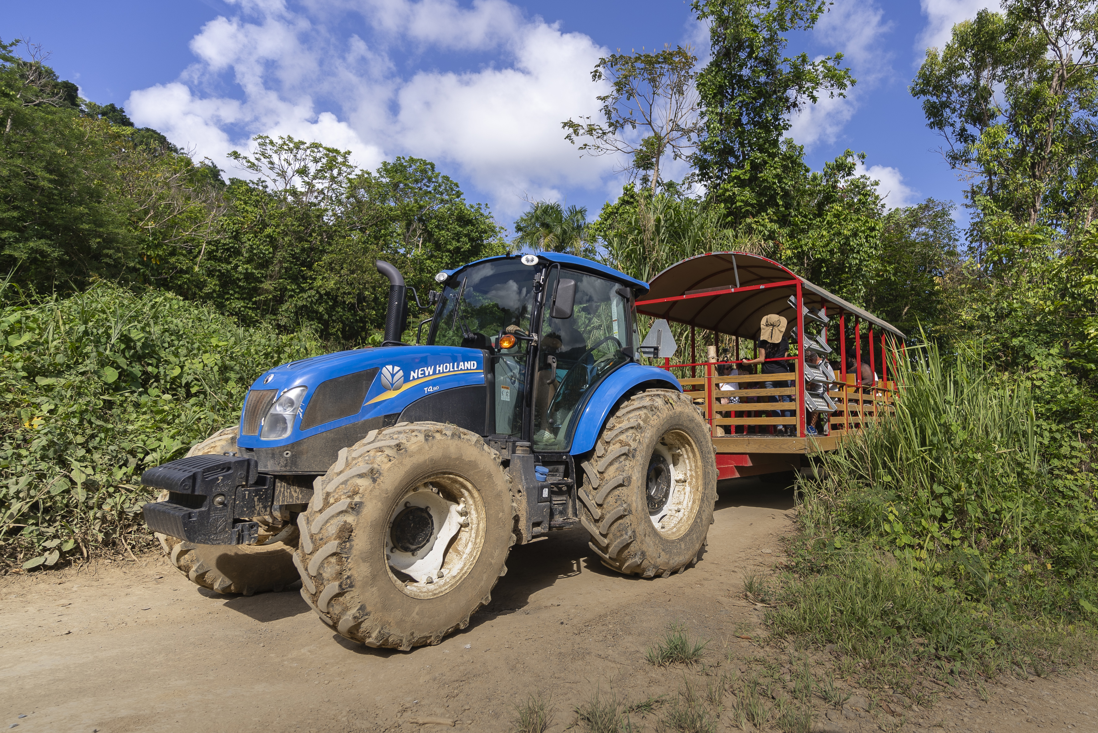 Blue tractor towing a red wooden trailer on a dirt road, surrounded by lush green trees.