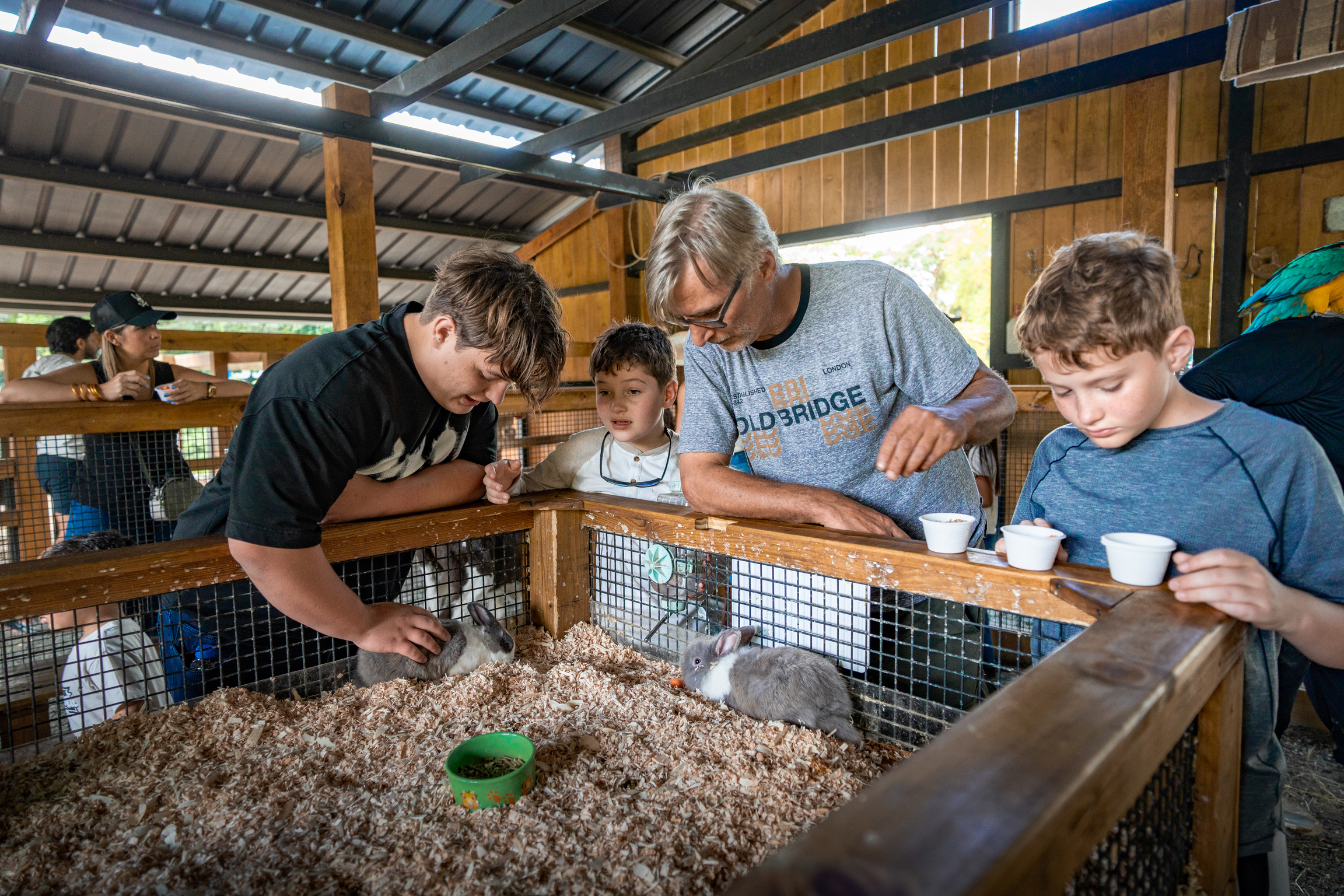 Group of people feeding rabbits in a wooden pen at a petting zoo.