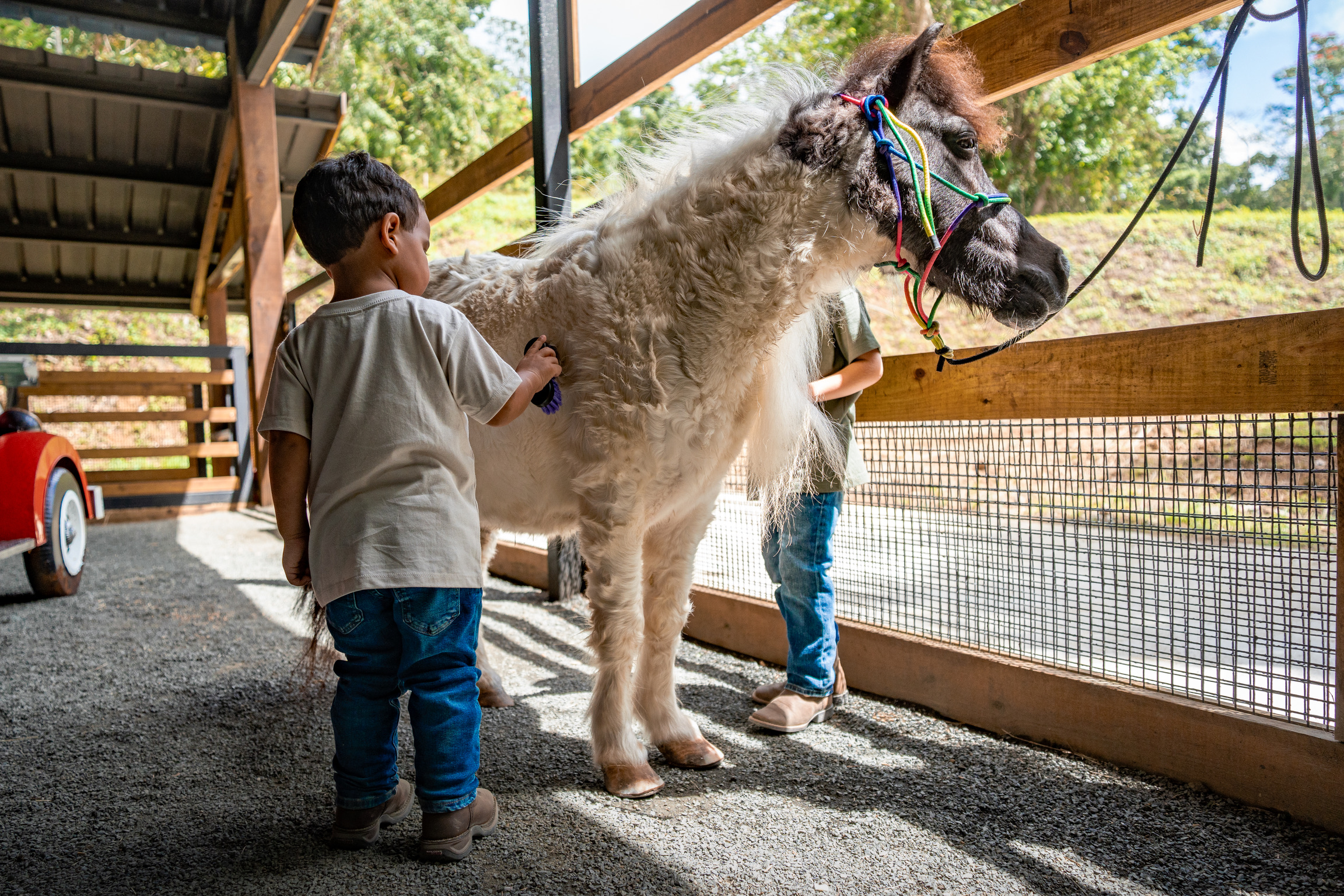Two children grooming a small pony in a fenced area.