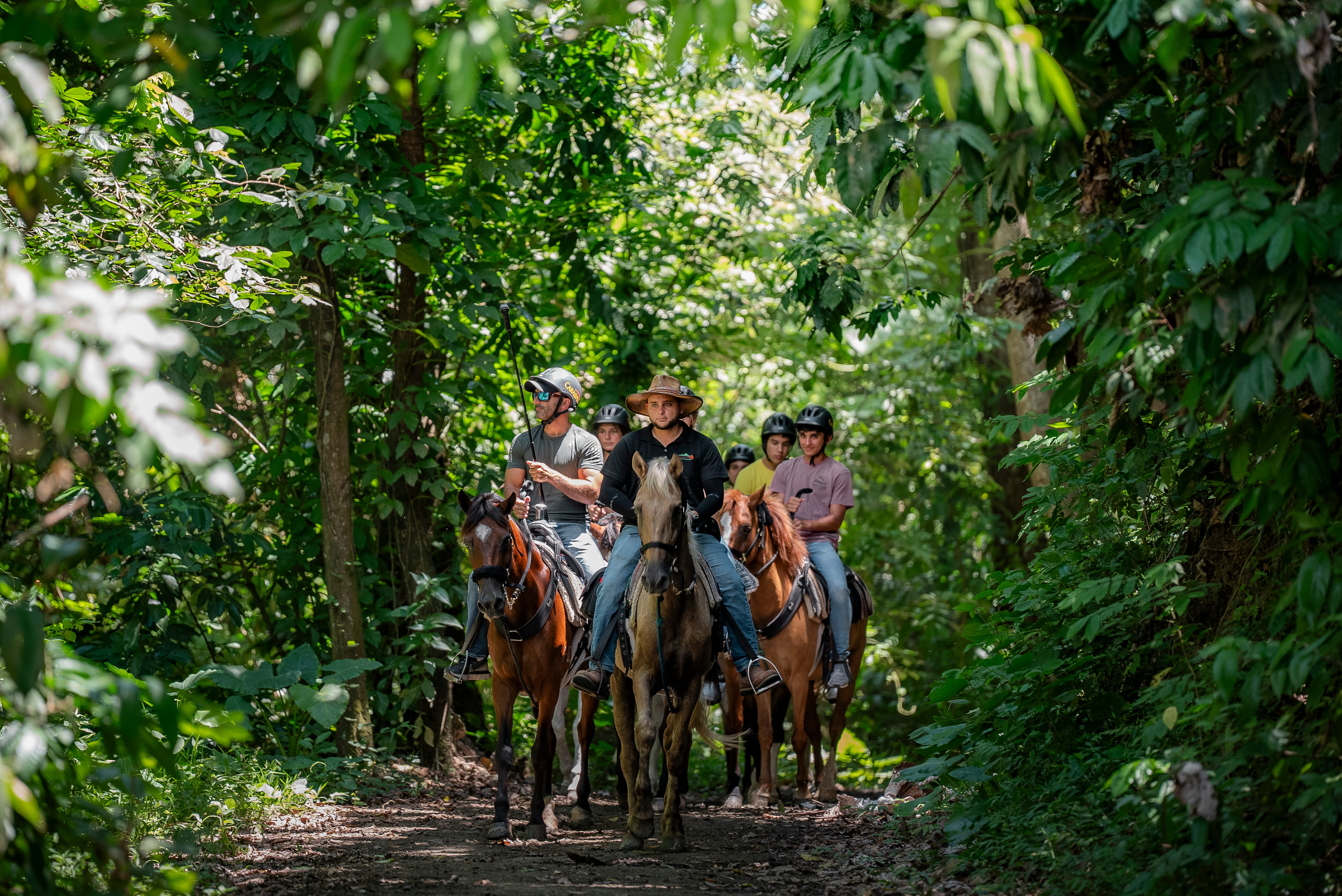 Four people horseback riding on a forest trail.