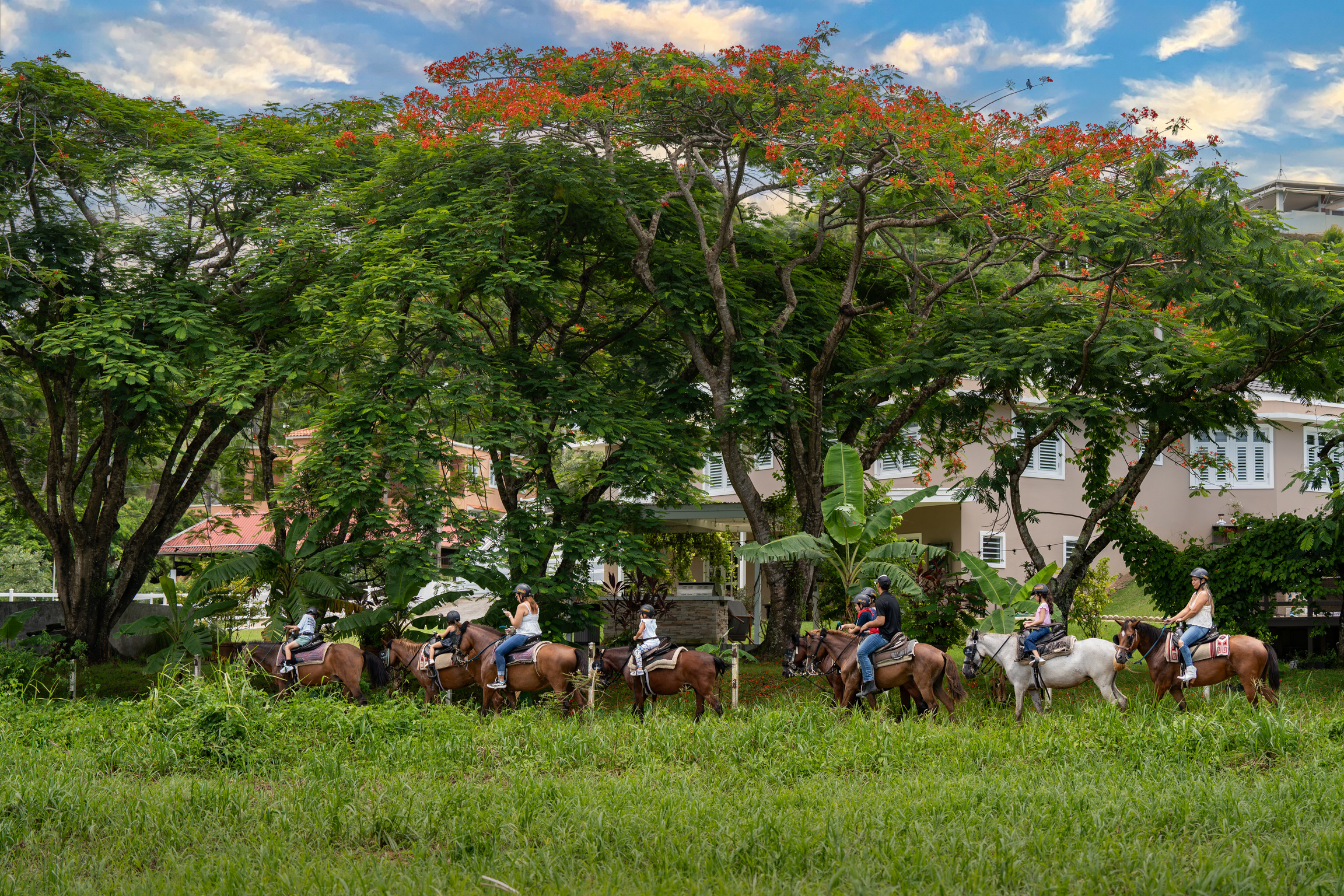 Group horseback riding through lush greenery under large trees.