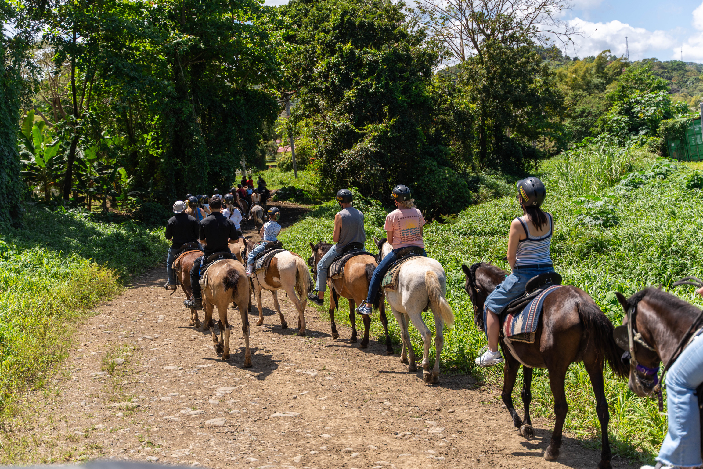 Group of people horseback riding on a dirt path in a lush, green forest.
