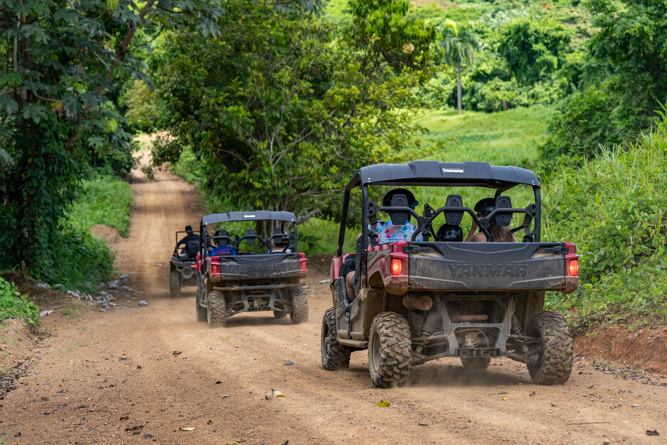 Four ATVs driving on a dirt road surrounded by lush green trees.