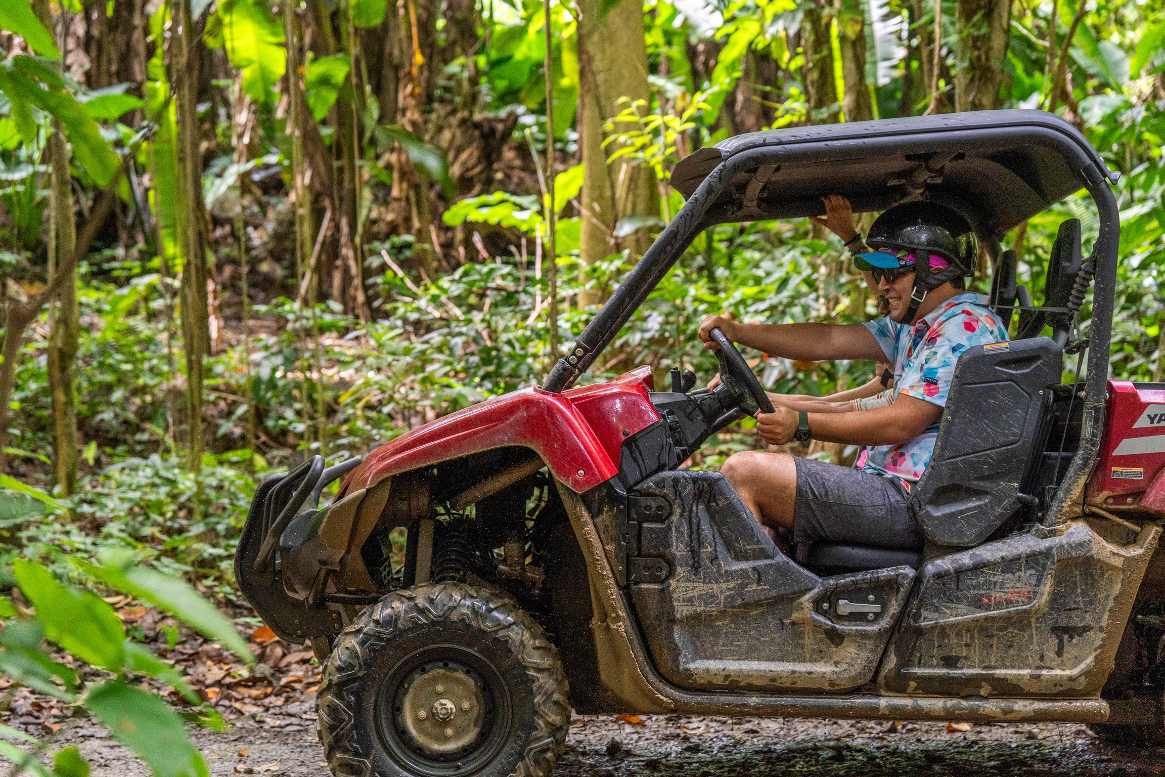 Person in a red open vehicle drives through a lush forest trail.