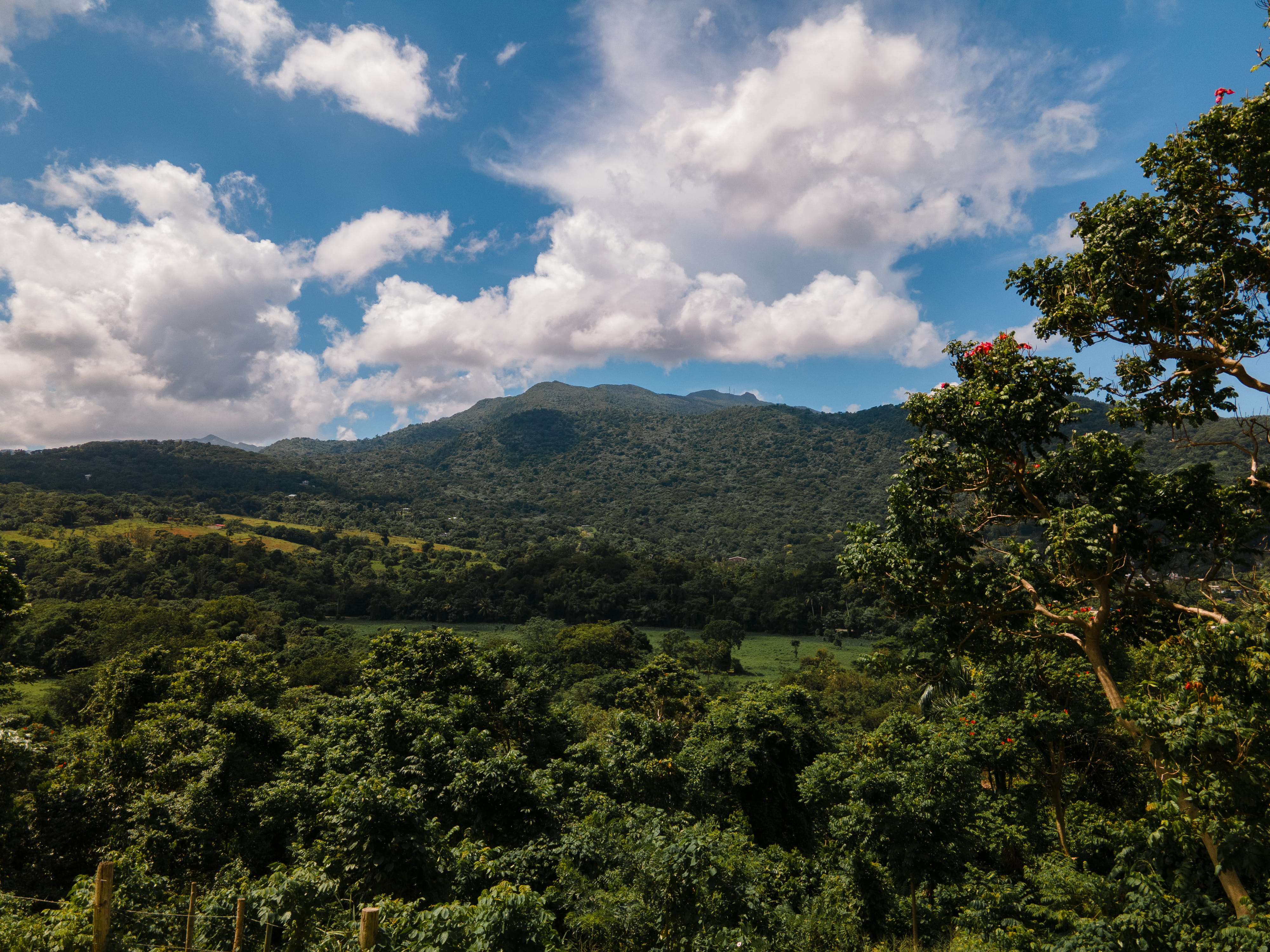 Lush green landscape with distant mountains under a partly cloudy sky.