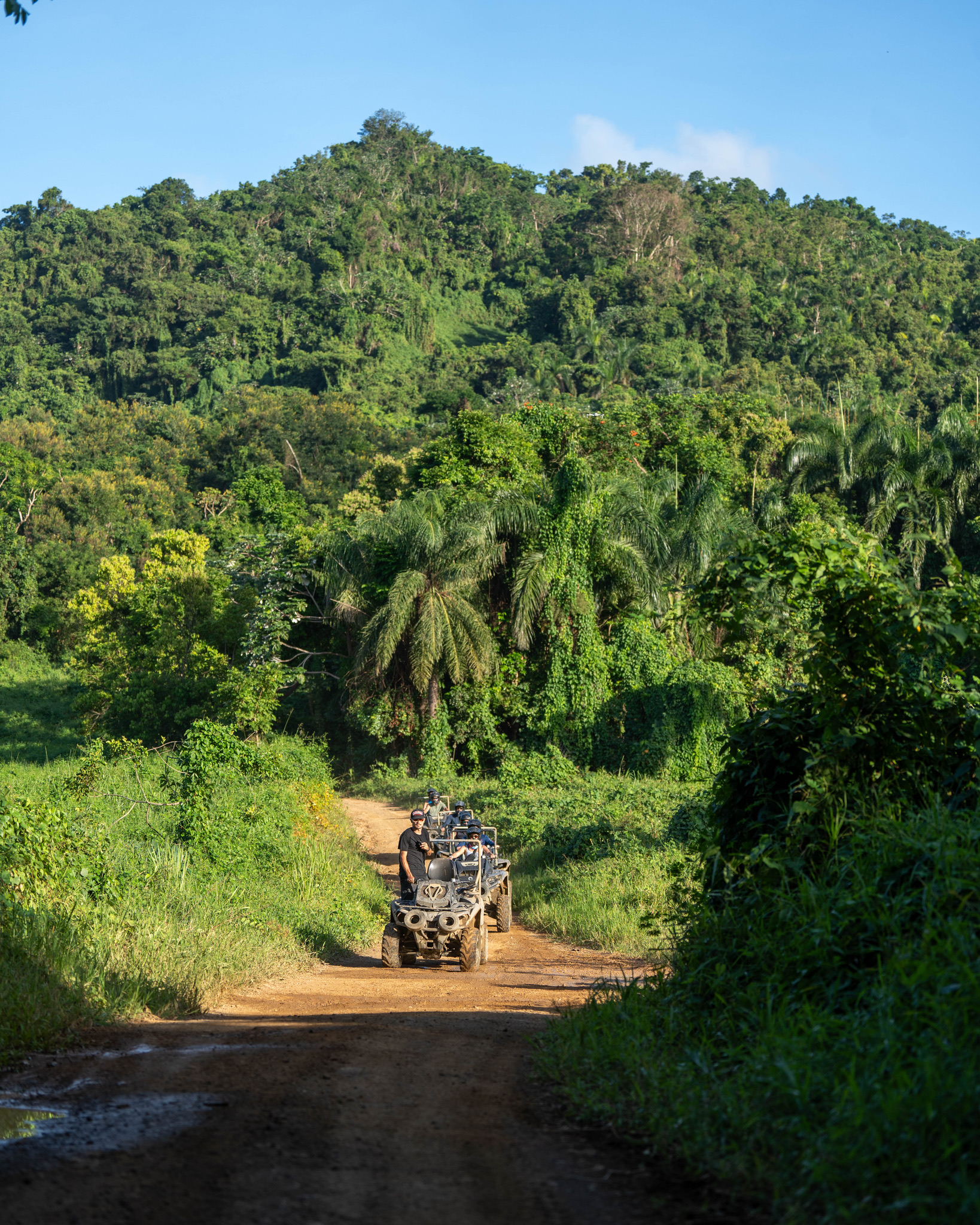 Military vehicle on dirt road in lush, green forested area.