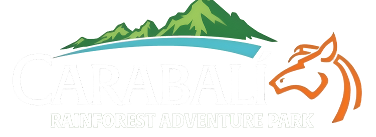 Parque de Aventuras de la Selva Tropical de Carabali