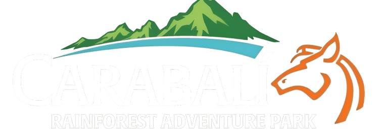 Carabali Rainforest Adventure Park Logo with green mountains, blue wave, and orange horse outline.