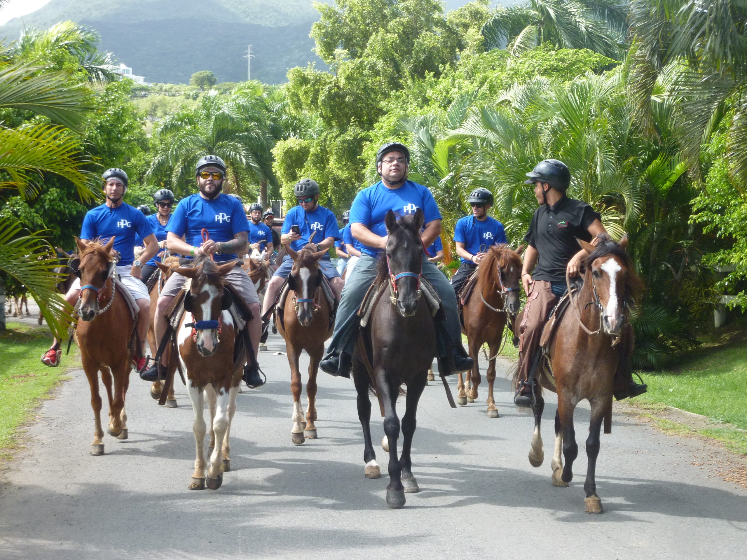 Group of people riding horses on a tropical road.