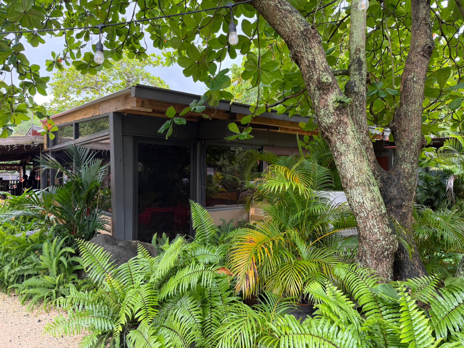 Modern building surrounded by lush greenery and trees.