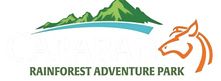 Carabali Rainforest Adventure Park