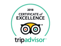 TripAdvisor COE Logo 2018