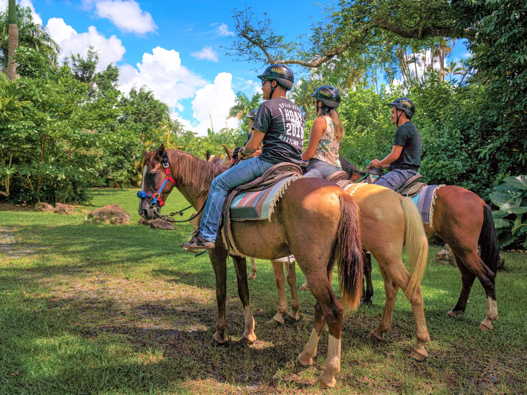 a group of people riding on the back of a horse