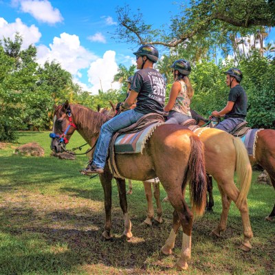 a group of people riding on the back of a horse