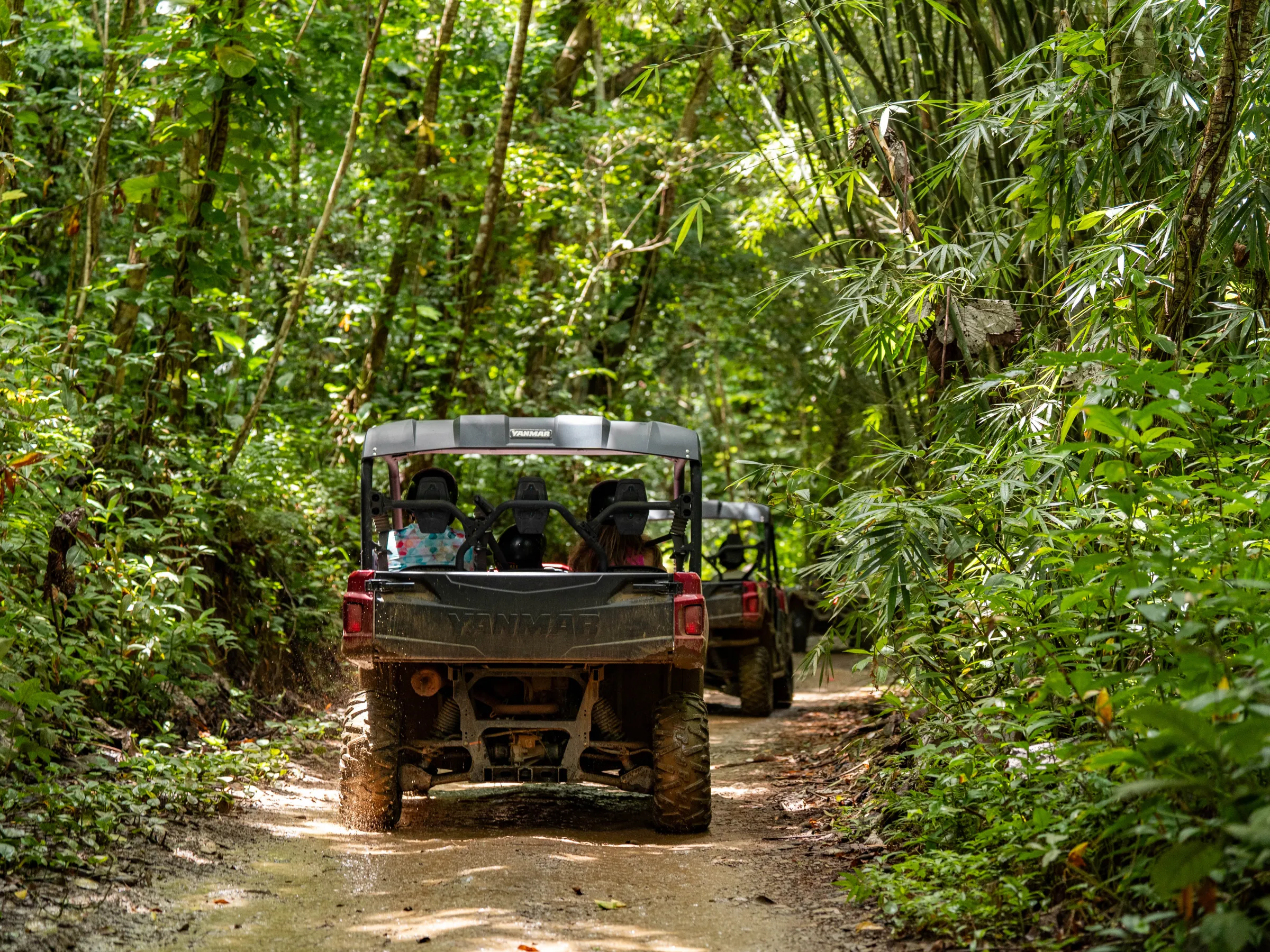 a truck driving down a dirt road in a forest