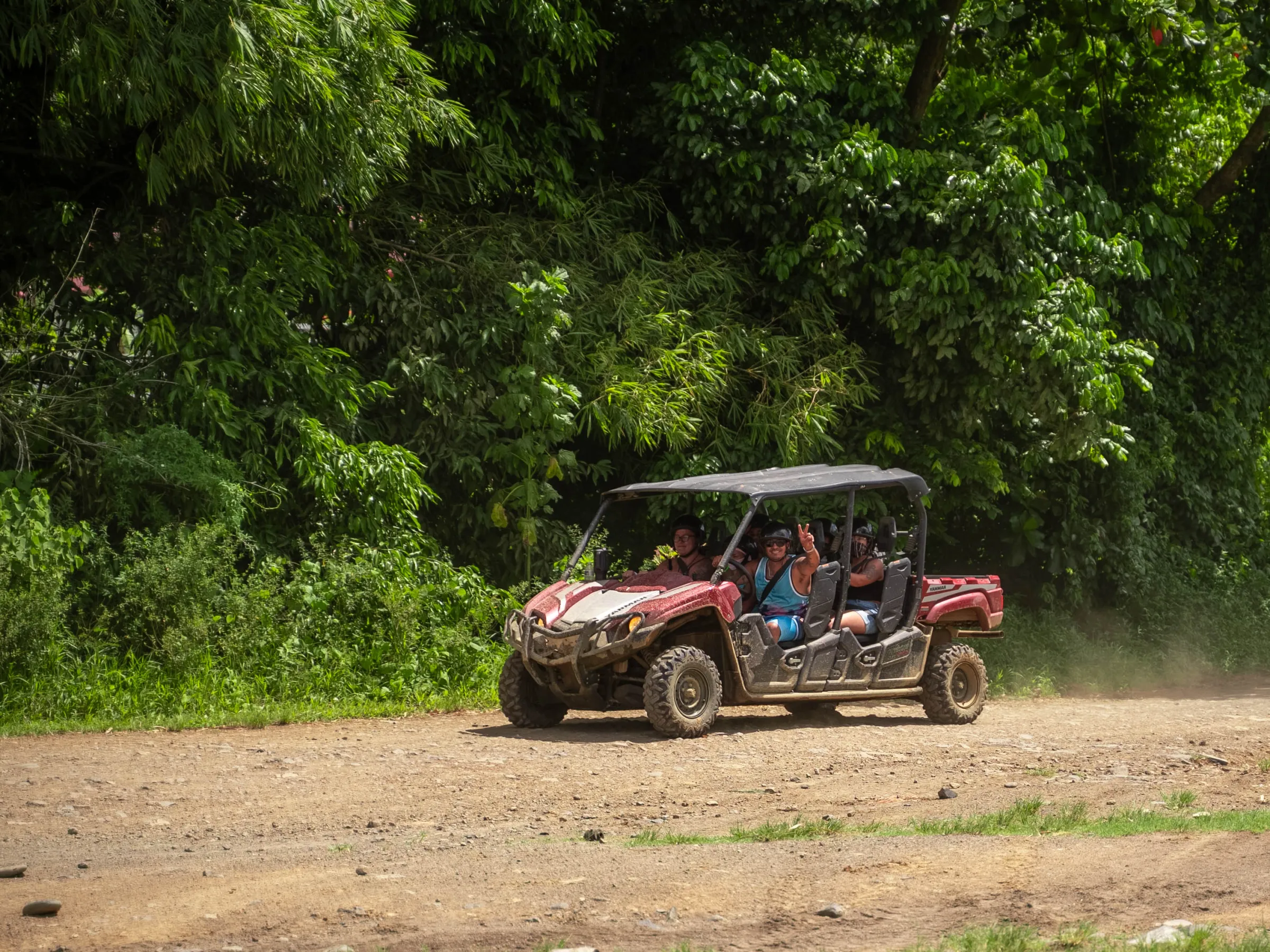 a car driving down a dirt road next to a tree