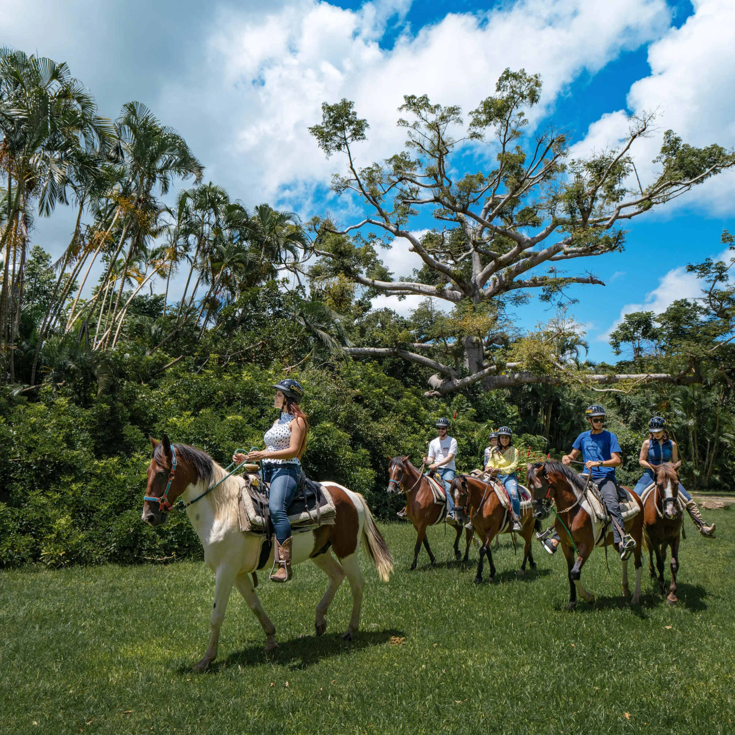 Group of people riding horses in the grass