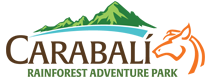 Carabali Rainforest Adventure Park