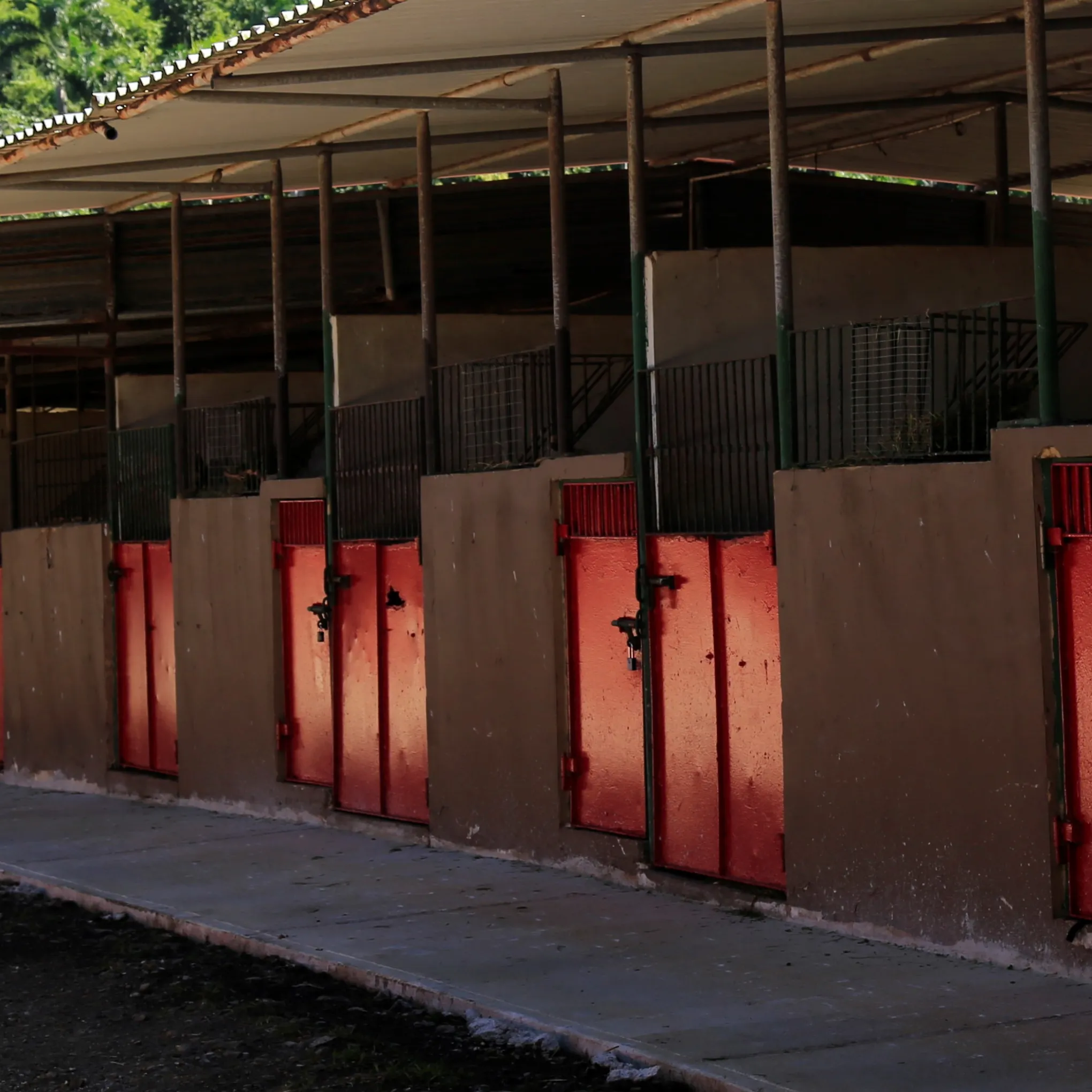 Horse Stables